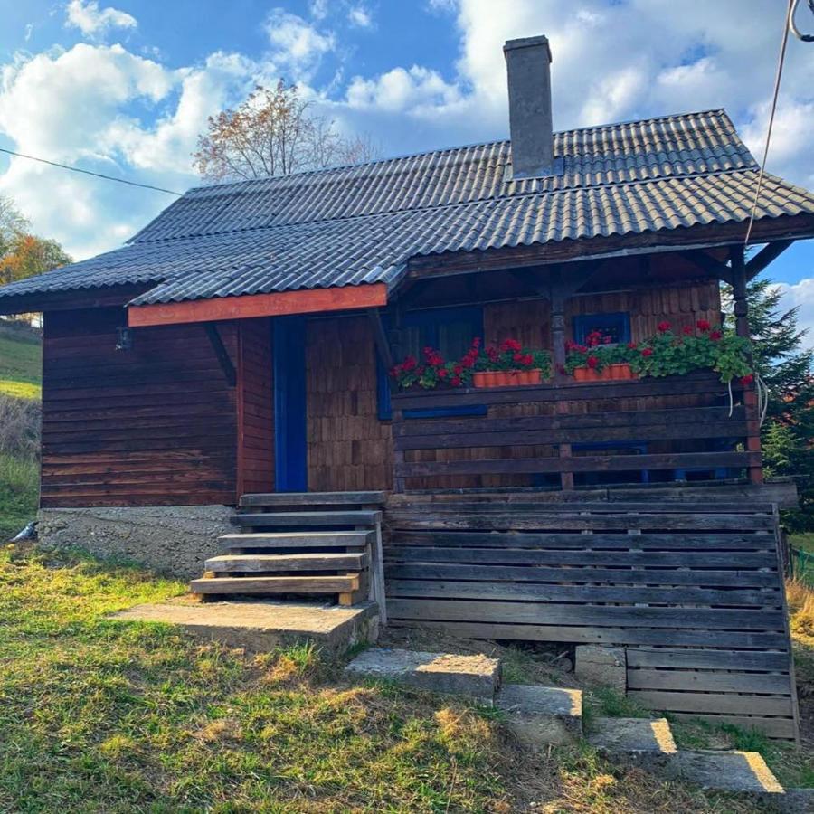 Casuta Mariei Villa Borşa Dış mekan fotoğraf