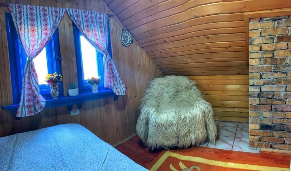 Casuta Mariei Villa Borşa Dış mekan fotoğraf
